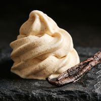 French Vanilla Ice Cream Spray
